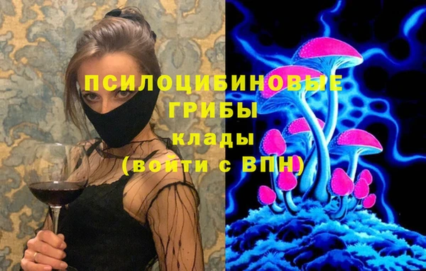 прущая мука Кодинск