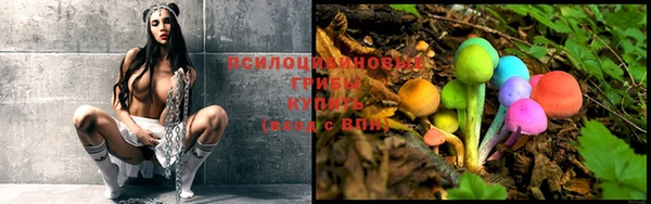 mdma Козловка