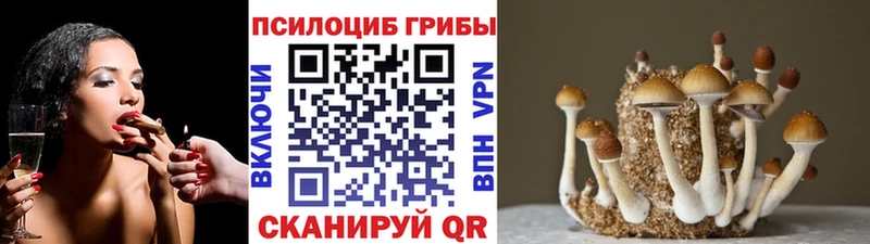 Галлюциногенные грибы Magic Shrooms Купить Вилюйск